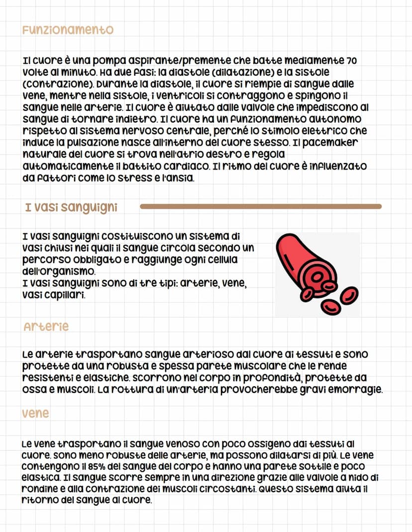 Apparato circolatorio
circolatorio
L'apparato circolatorio è composto dal sangue, dai vasi sanguigni e
dal cuore e serve a far arrivare le s