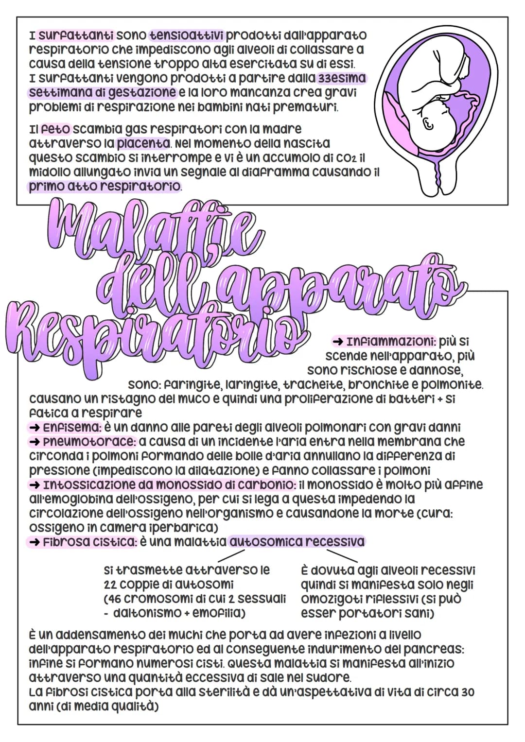 L'Apparais
•Respiratoria
Si suddivide
nelle viee aeree
superiori (naso +
Faringe) e nelle viee aeree
inferiori (laringe + trachea+
bronchi +