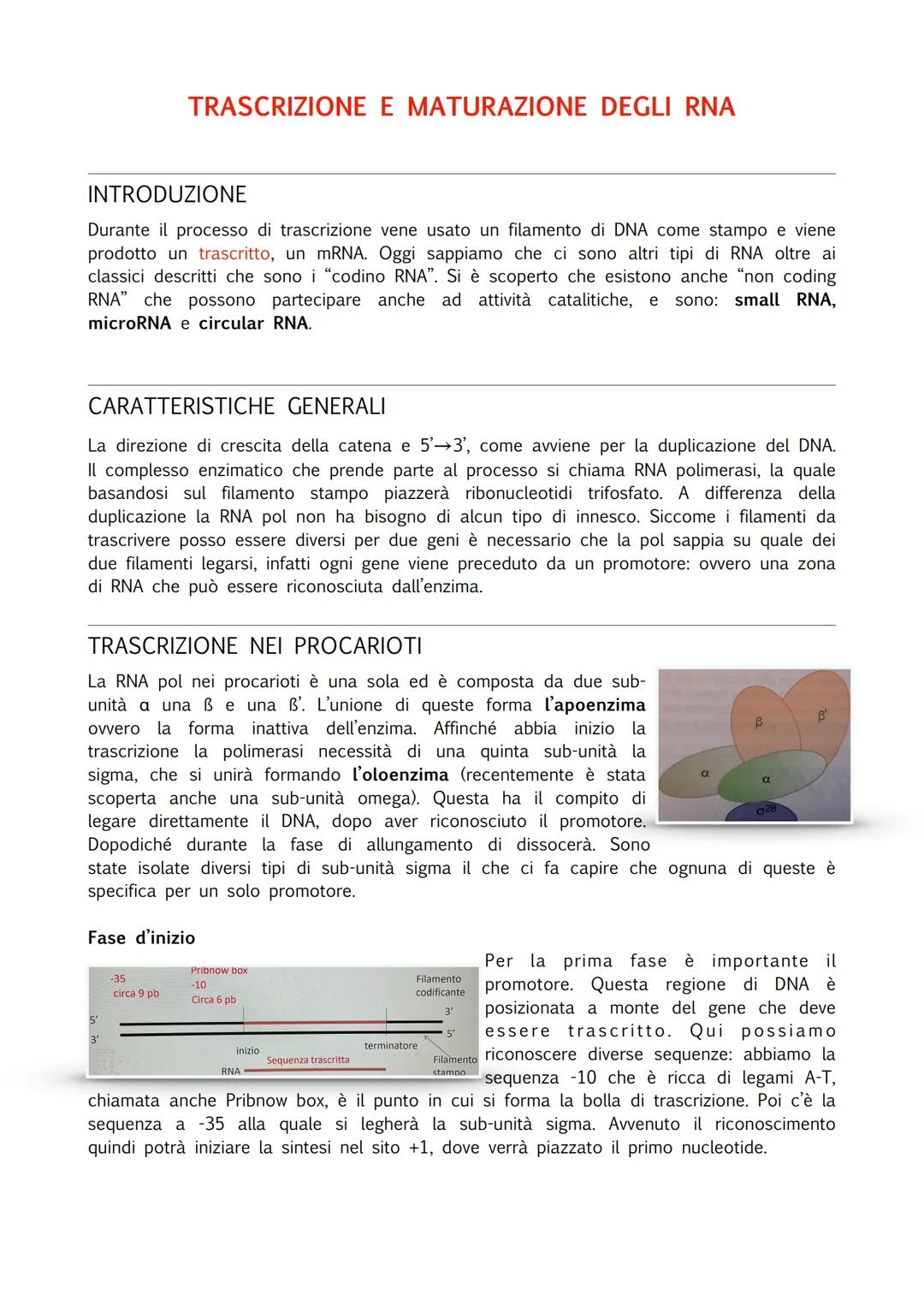 INTRODUZIONE
Durante il processo di trascrizione vene usato un filamento di DNA come stampo e viene
prodotto un trascritto, un mRNA. Oggi sa
