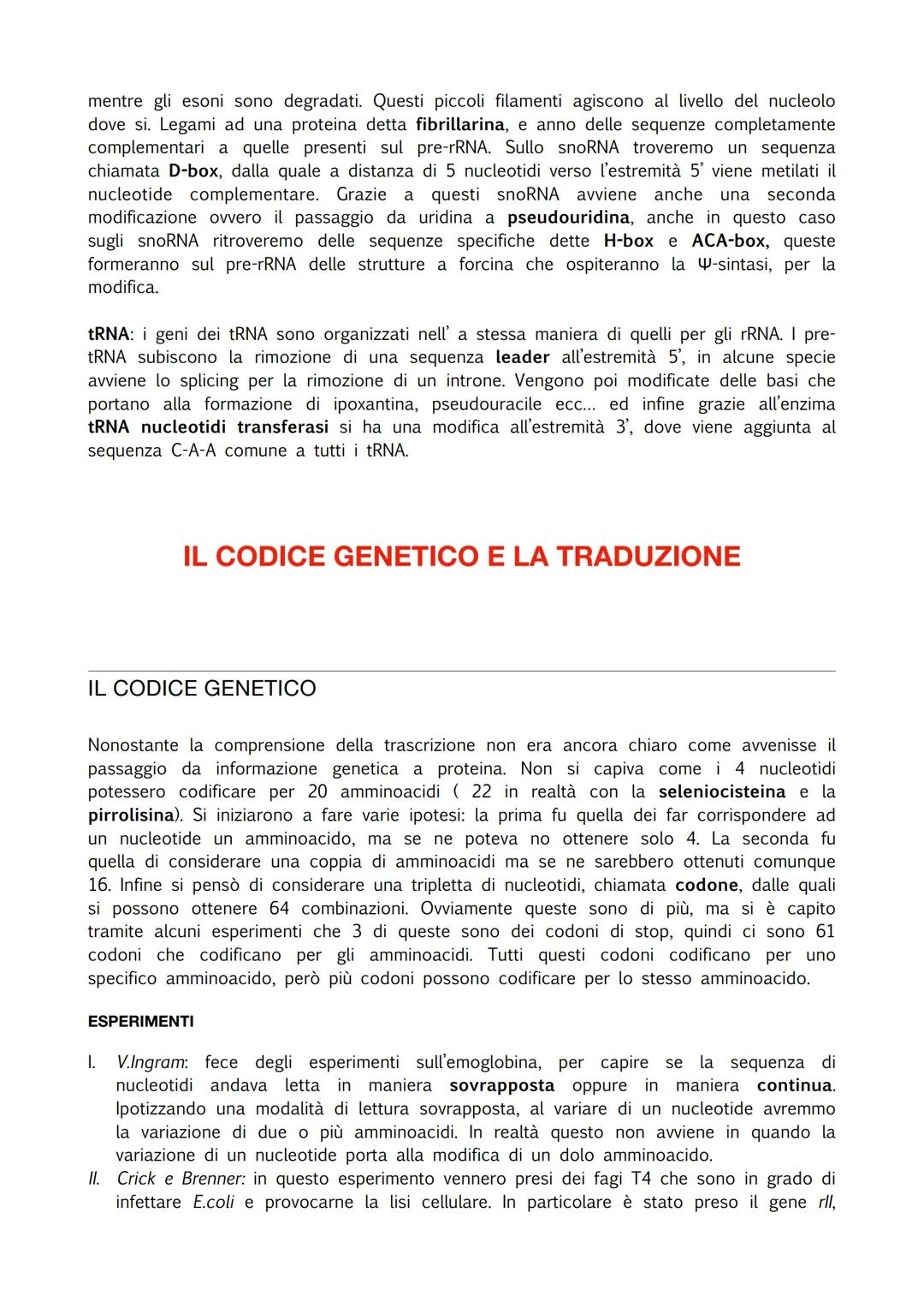 INTRODUZIONE
Durante il processo di trascrizione vene usato un filamento di DNA come stampo e viene
prodotto un trascritto, un mRNA. Oggi sa
