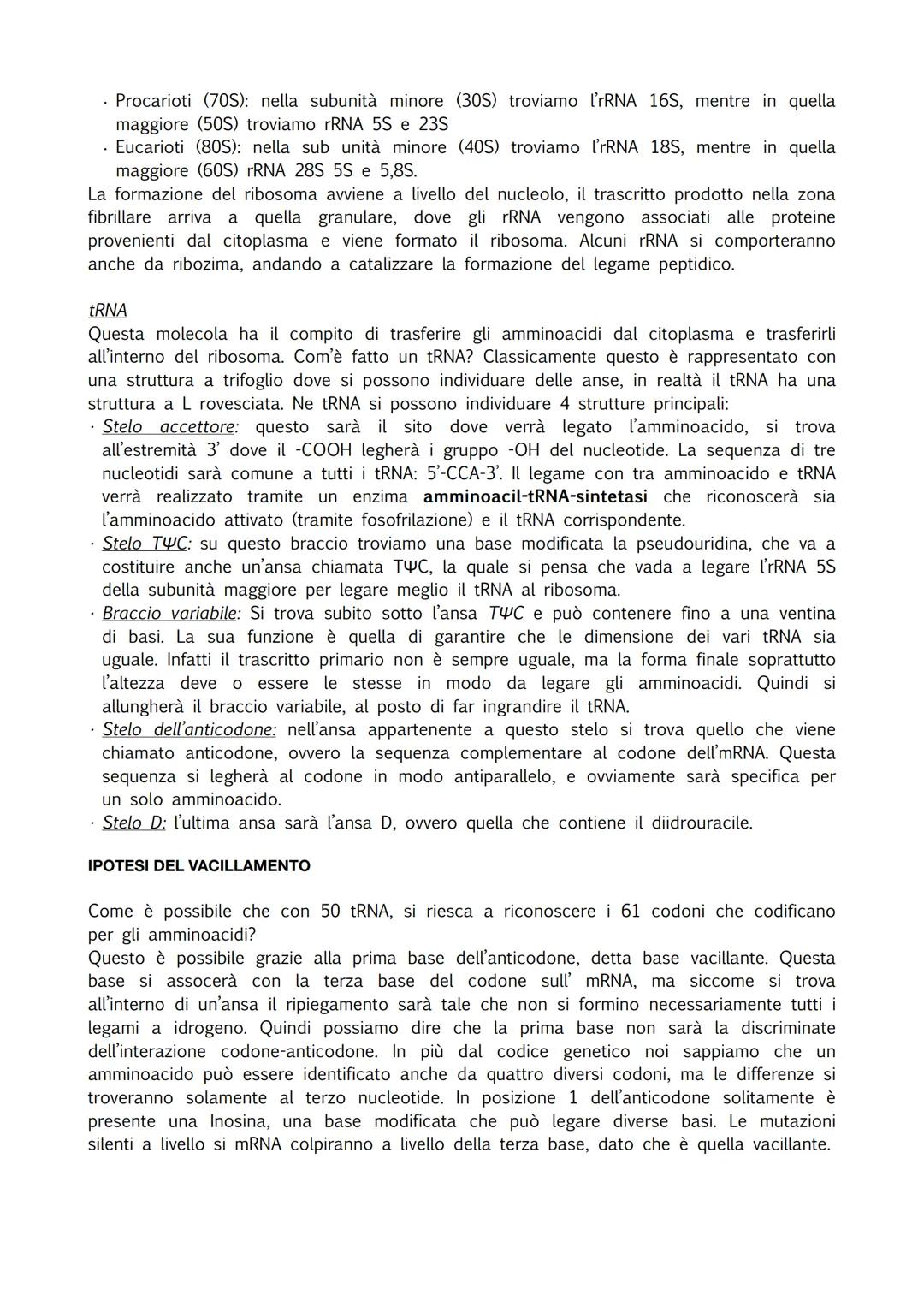 INTRODUZIONE
Durante il processo di trascrizione vene usato un filamento di DNA come stampo e viene
prodotto un trascritto, un mRNA. Oggi sa