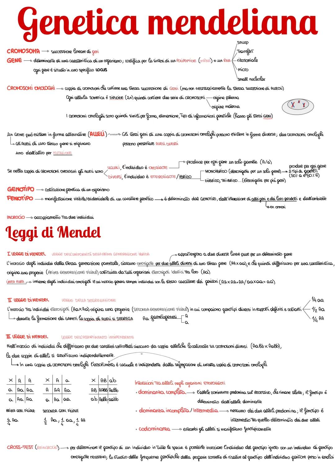 Genetica mendeliana