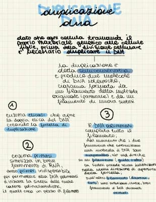 Know Duplicazione del DNA, sintesi proteica thumbnail