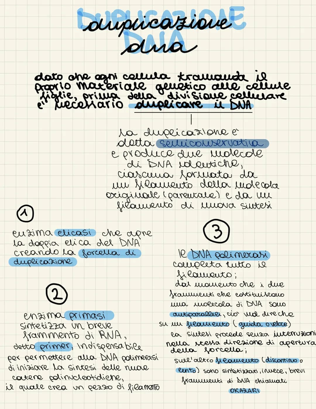 tauplicazione
dua
dato che ogni callula tramanda il
proprio materiale
prima della
e recenario
genetico alle cellule
divisione cellulare
dupl