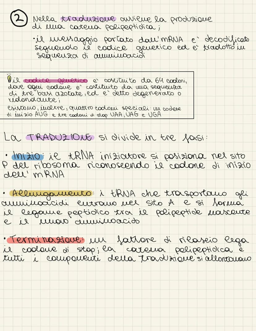 tauplicazione
dua
dato che ogni callula tramanda il
proprio materiale
prima della
e recenario
genetico alle cellule
divisione cellulare
dupl