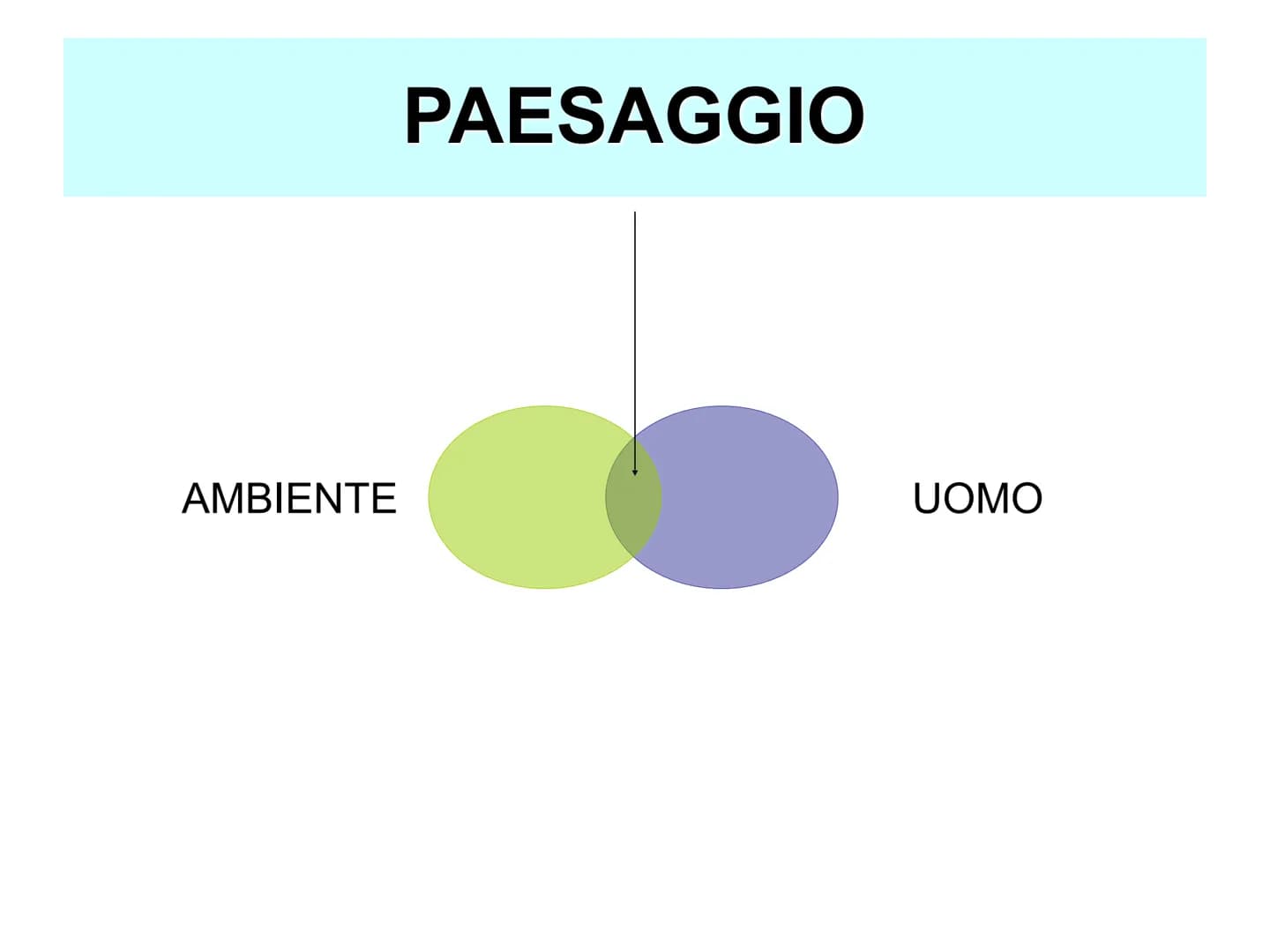 GEOGRAFIA
Origine della parola:
GEO= TERRA;
GRAFIA= SCRITTURA
DESCRIZIONE DELLA TERRA SCIENZA MOLTO ANTICA
NASCE DA...
➤DAL BISOGNO DI SPOST