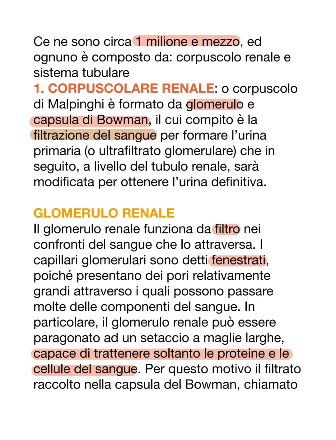 APPARATO URINARIO
L'apparato urinario è il sistema di drenaggio
del corpo per l'eventuale rimozione di urina.
È costituito dai reni, ureteri