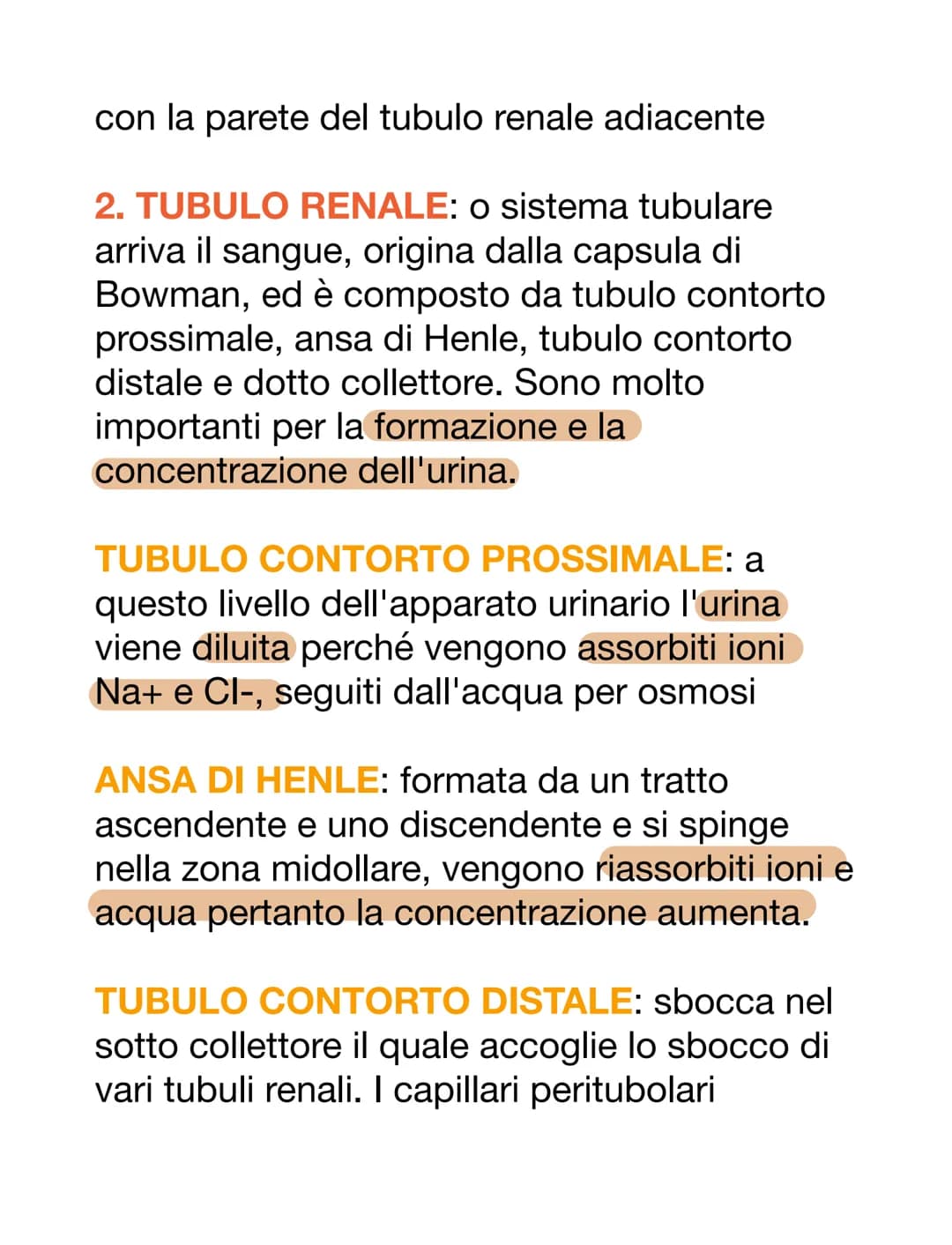 APPARATO URINARIO
L'apparato urinario è il sistema di drenaggio
del corpo per l'eventuale rimozione di urina.
È costituito dai reni, ureteri