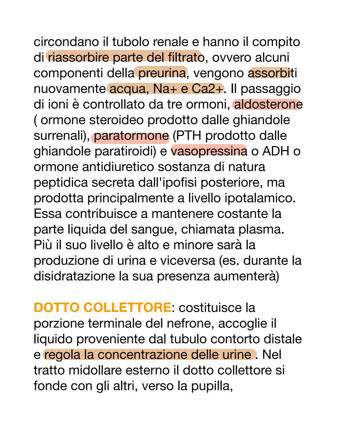 APPARATO URINARIO
L'apparato urinario è il sistema di drenaggio
del corpo per l'eventuale rimozione di urina.
È costituito dai reni, ureteri