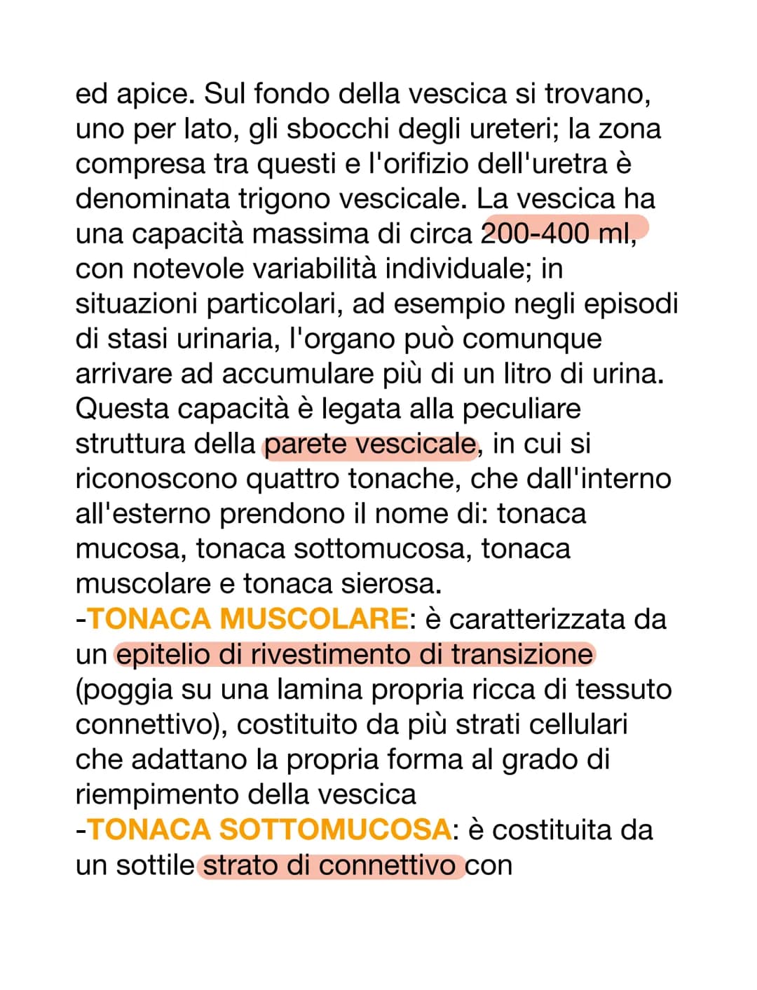 APPARATO URINARIO
L'apparato urinario è il sistema di drenaggio
del corpo per l'eventuale rimozione di urina.
È costituito dai reni, ureteri