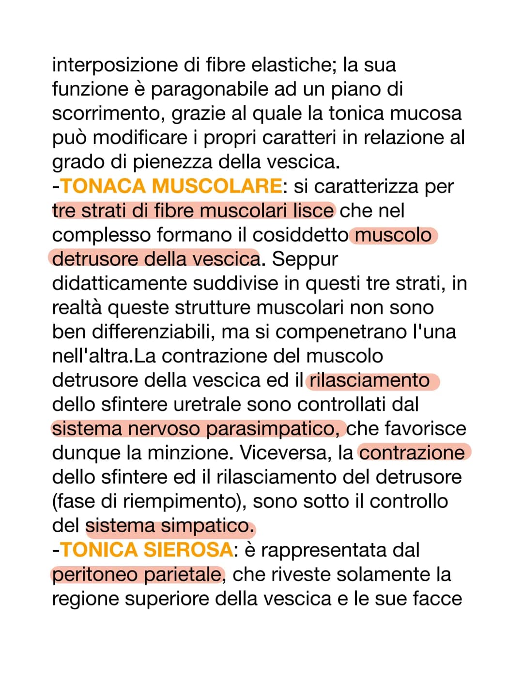 APPARATO URINARIO
L'apparato urinario è il sistema di drenaggio
del corpo per l'eventuale rimozione di urina.
È costituito dai reni, ureteri