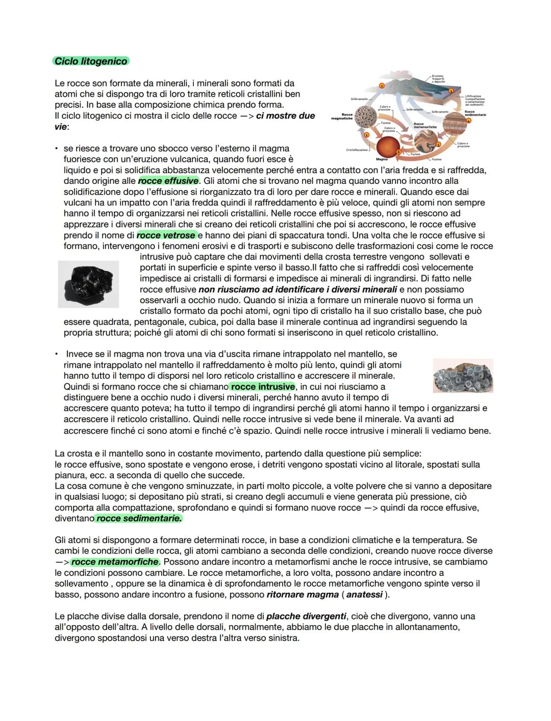 ŁA BINAMICA BELLA
CROSTA TERRESTRE
La teoria della deriva dei continenti
Le esplorazioni intercontinentali del sedicesimo secolo avevano per
