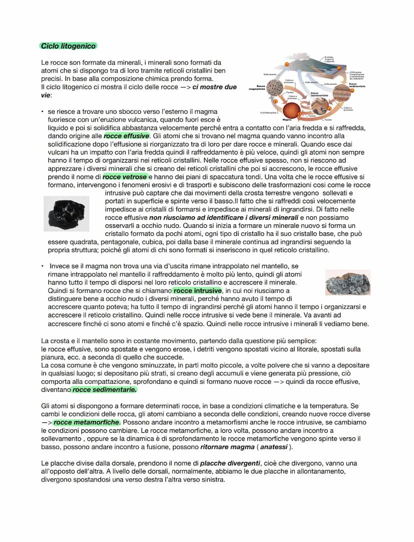 ŁA BINAMICA BELLA
CROSTA TERRESTRE
La teoria della deriva dei continenti
Le esplorazioni intercontinentali del sedicesimo secolo avevano per