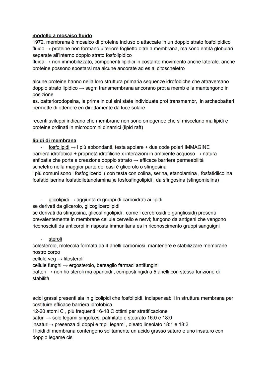 # LE MEMBRANE

funzioni

1) contorni
delimitano contorni cellula, trattenere interno stanze utili ma anche non far entrare quelle
esterne; p