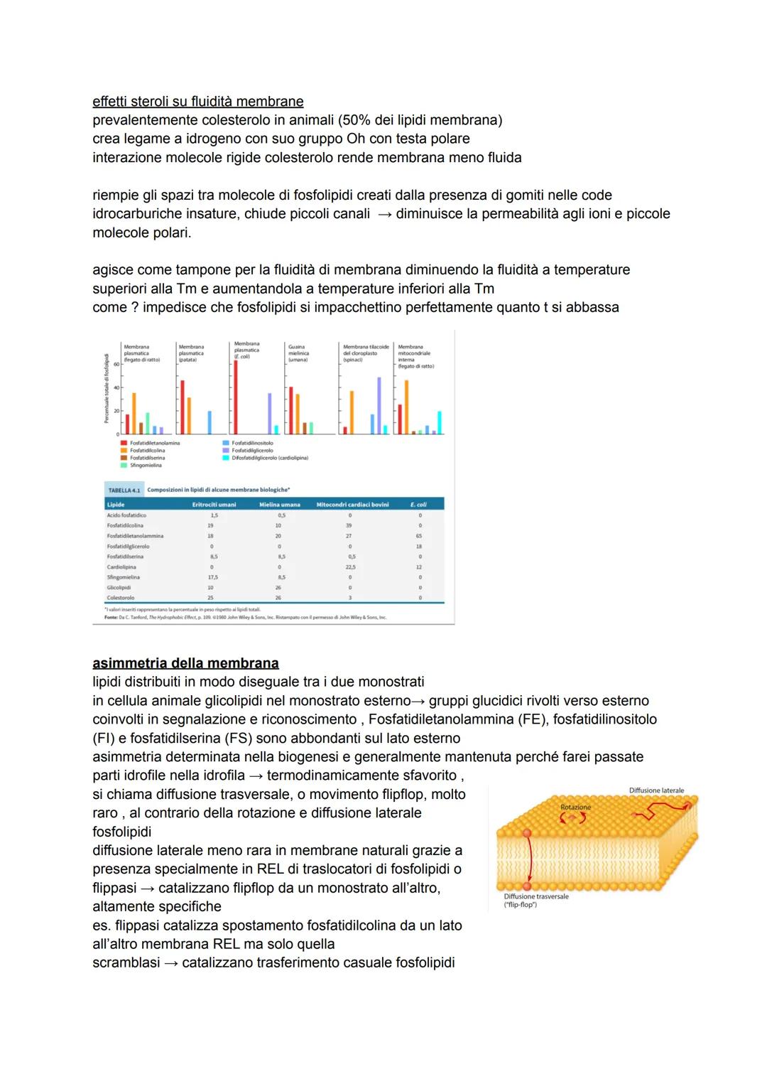 # LE MEMBRANE

funzioni

1) contorni
delimitano contorni cellula, trattenere interno stanze utili ma anche non far entrare quelle
esterne; p