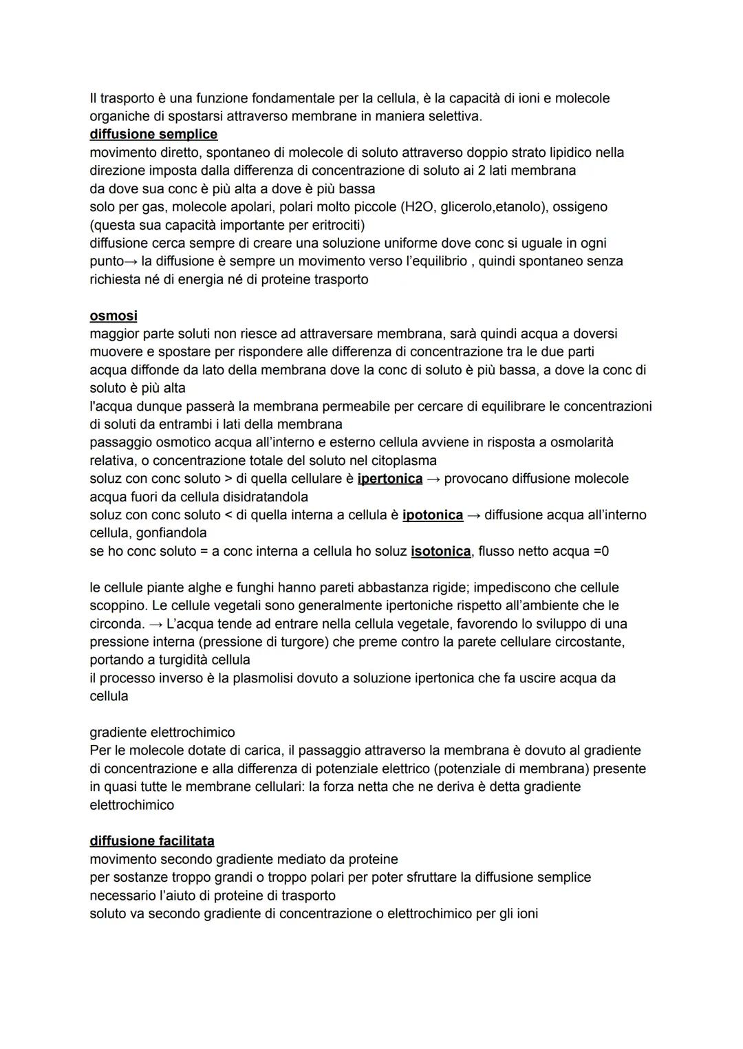 # LE MEMBRANE

funzioni

1) contorni
delimitano contorni cellula, trattenere interno stanze utili ma anche non far entrare quelle
esterne; p