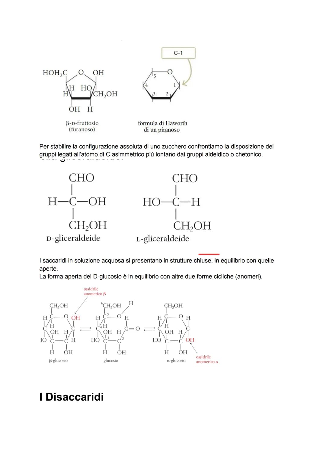 Le biomolecole
I pochi milioni di sostanze prodotte artificialmente in laboratorio sono poca cosa se
confrontate ai quasi mille miliardi di 