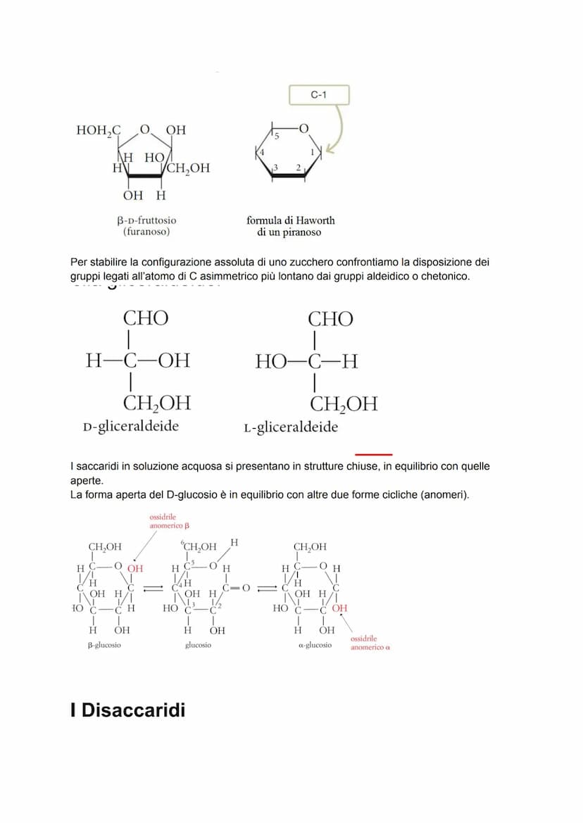Le biomolecole
I pochi milioni di sostanze prodotte artificialmente in laboratorio sono poca cosa se
confrontate ai quasi mille miliardi di 