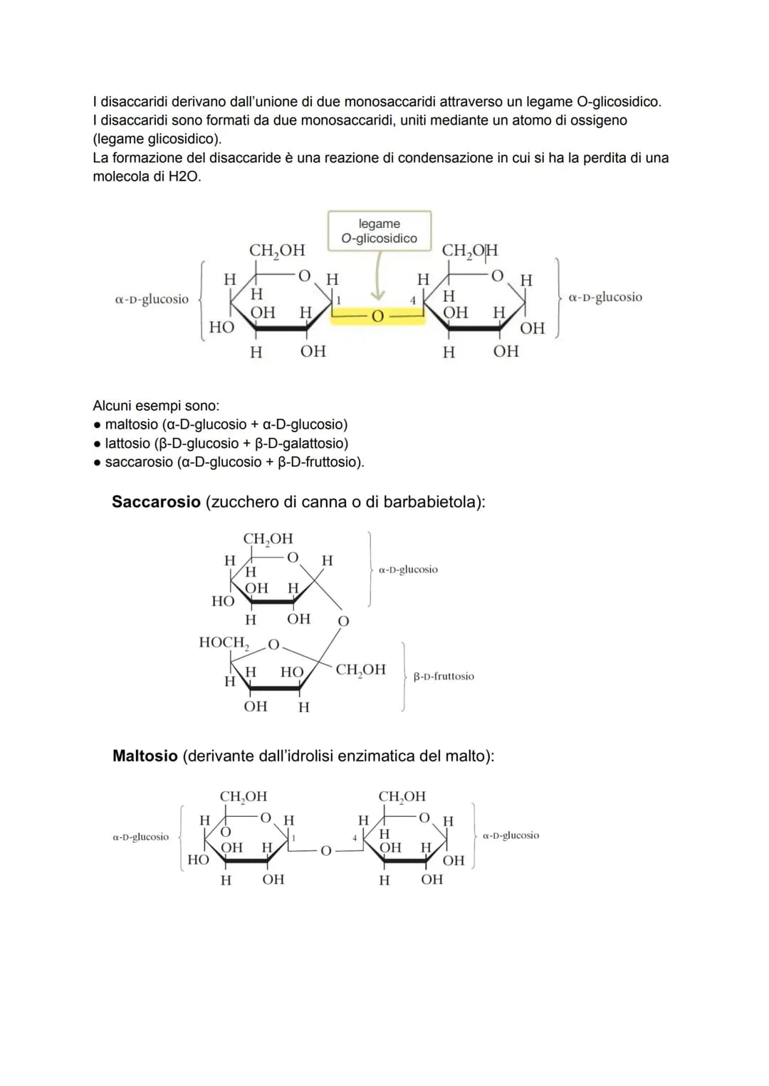 Le biomolecole
I pochi milioni di sostanze prodotte artificialmente in laboratorio sono poca cosa se
confrontate ai quasi mille miliardi di 