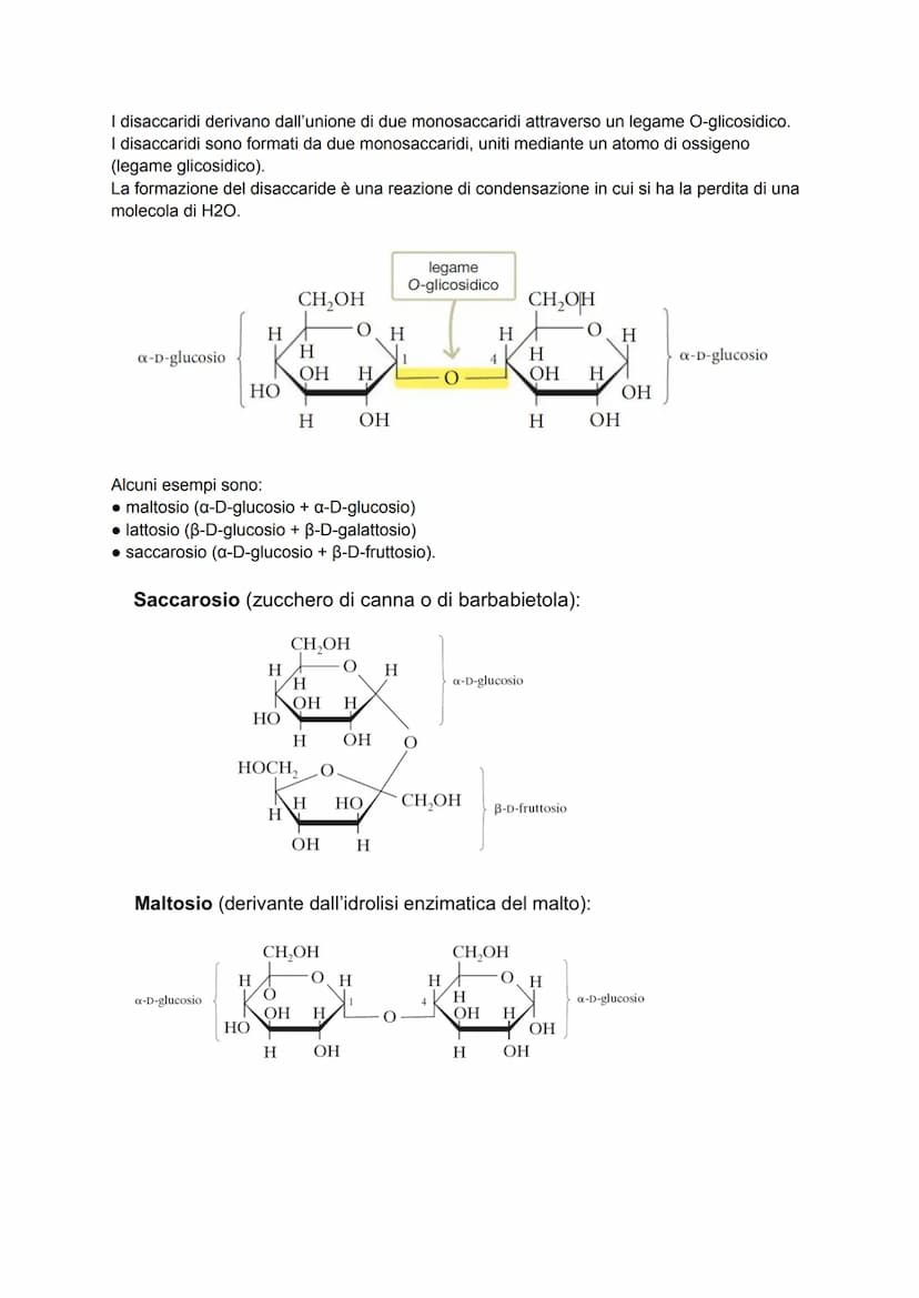 Le biomolecole
I pochi milioni di sostanze prodotte artificialmente in laboratorio sono poca cosa se
confrontate ai quasi mille miliardi di 