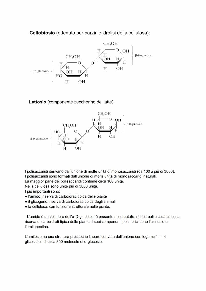 Le biomolecole
I pochi milioni di sostanze prodotte artificialmente in laboratorio sono poca cosa se
confrontate ai quasi mille miliardi di 