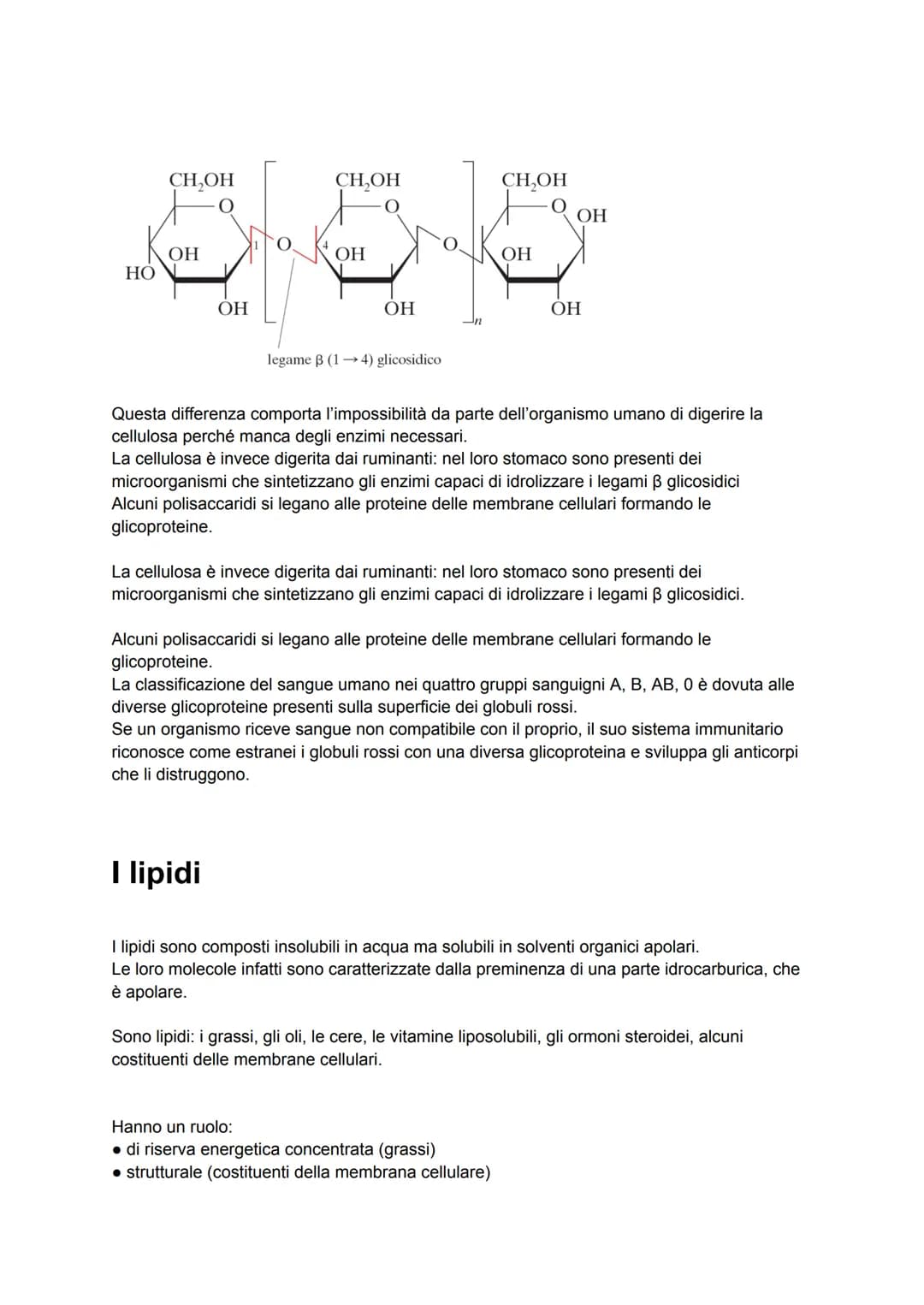 Le biomolecole
I pochi milioni di sostanze prodotte artificialmente in laboratorio sono poca cosa se
confrontate ai quasi mille miliardi di 
