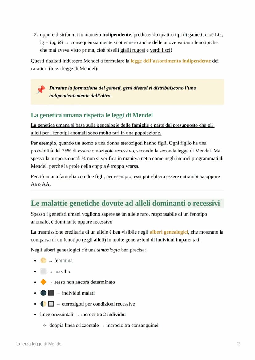 La terza legge di Mendel
La terza legge di Mendel: l'assortimento indipendente
Mendel a questo punto considerò un incrocio fra due linee pur
