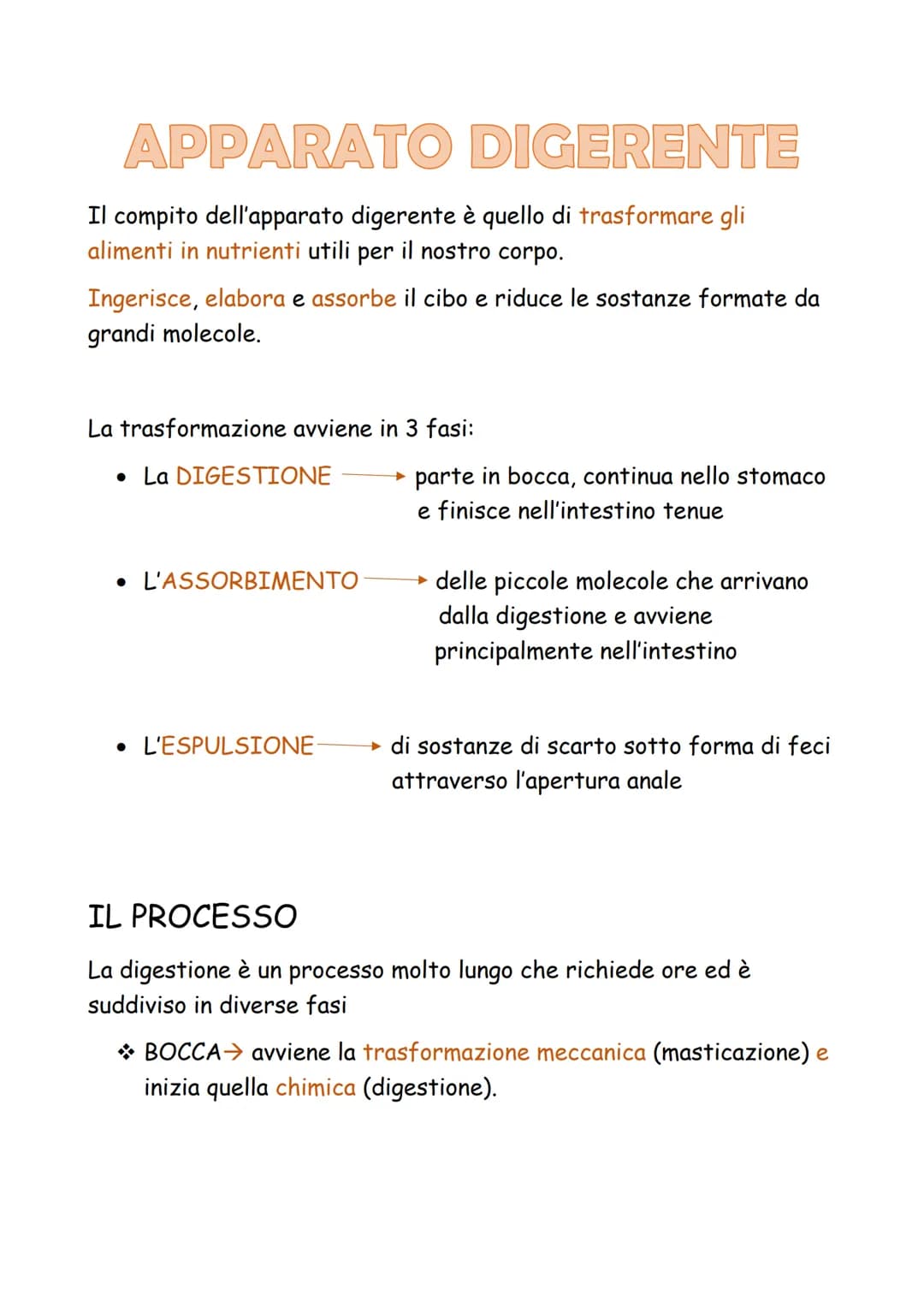 
<p>Il compito dell'apparato digerente è quello di trasformare gli alimenti in nutrienti utili per il nostro corpo. Questo processo avviene 