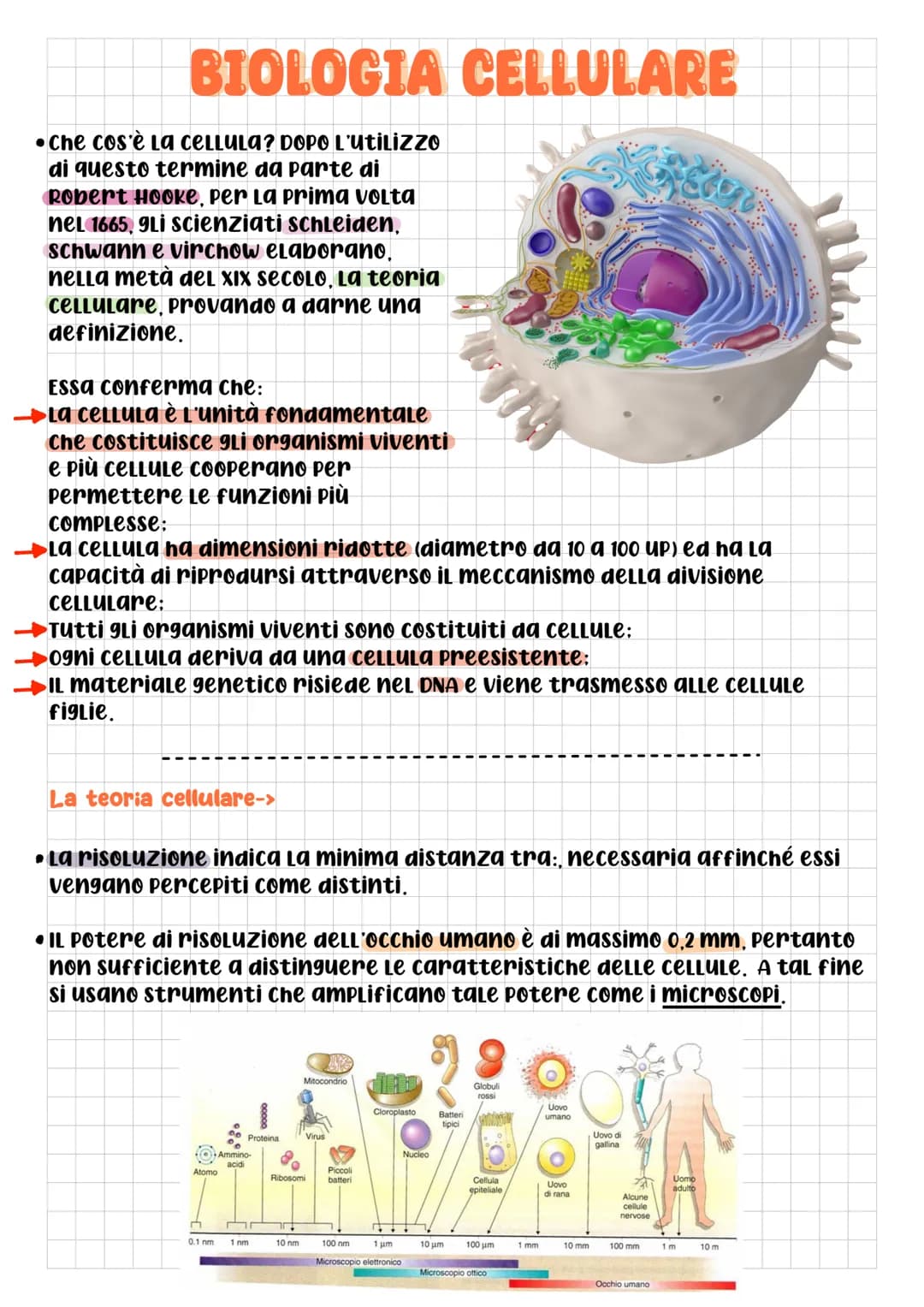 BIOLOGIA CELLULARE
Che cos'è La cELLULA? DOPO L'Utilizzo
di questo termine da parte di
Robert Hooke, per la prima volta
nel 1665, gli scienz