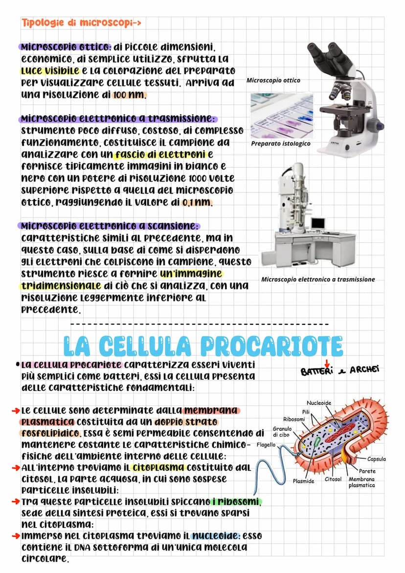 BIOLOGIA CELLULARE
Che cos'è La cELLULA? DOPO L'Utilizzo
di questo termine da parte di
Robert Hooke, per la prima volta
nel 1665, gli scienz
