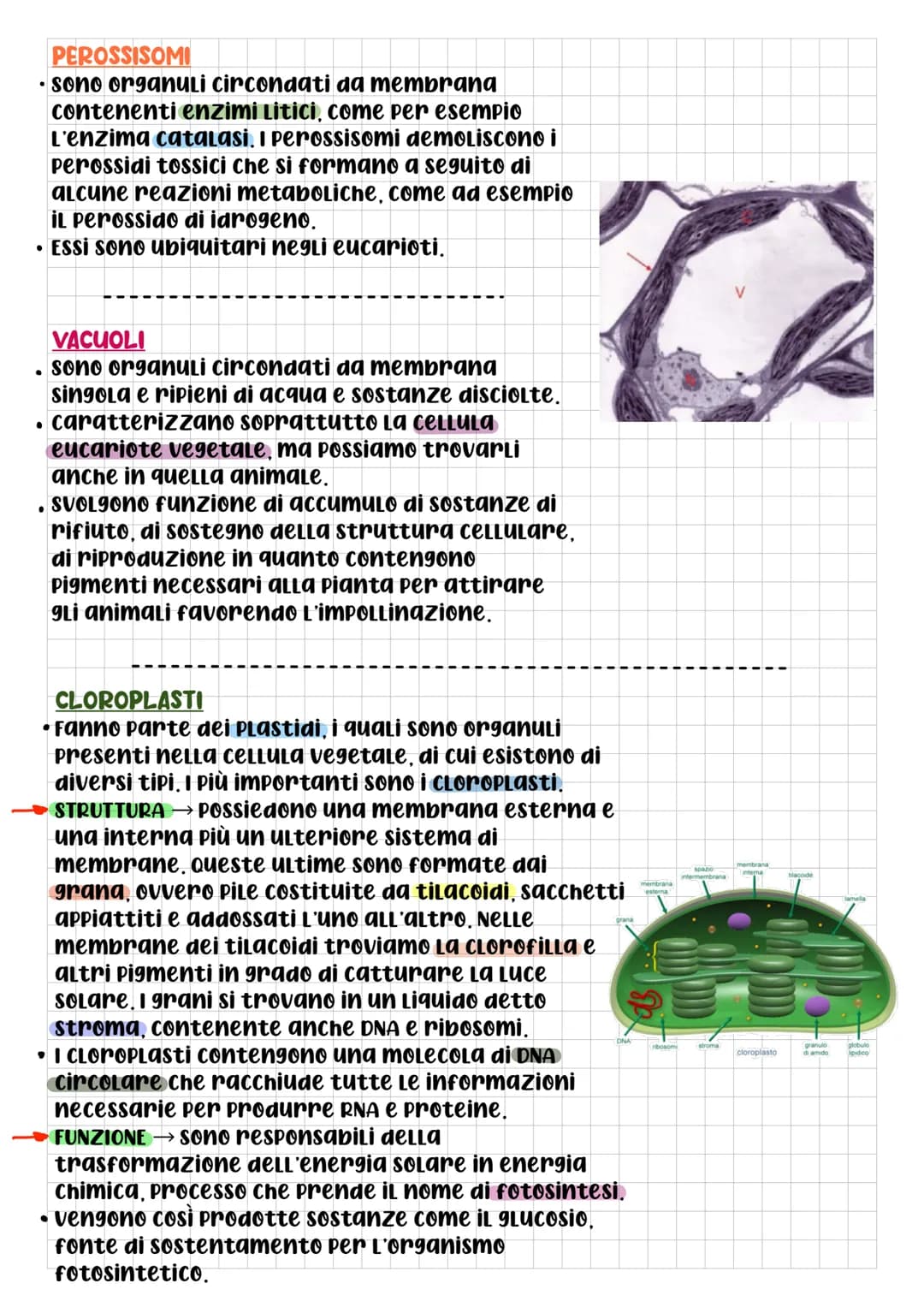 BIOLOGIA CELLULARE
Che cos'è La cELLULA? DOPO L'Utilizzo
di questo termine da parte di
Robert Hooke, per la prima volta
nel 1665, gli scienz