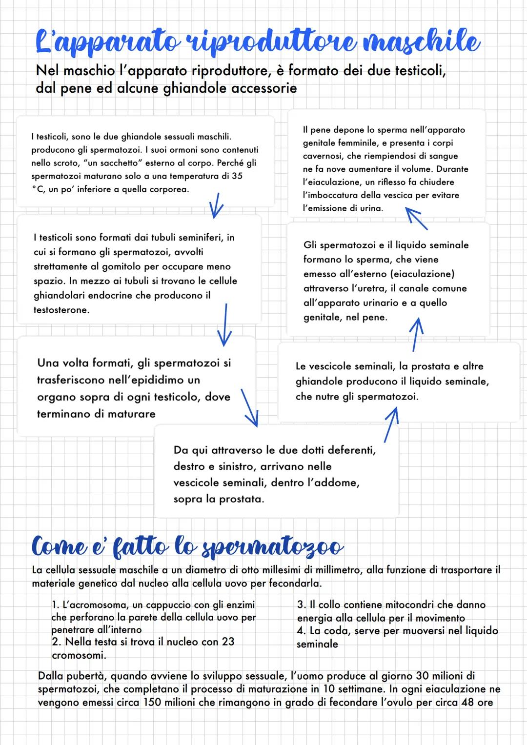 La riproduzione
Ogni essere vivente ha come fine la continuazione della vita attraverso figli.
E gli organismi viventi generano i propri dis