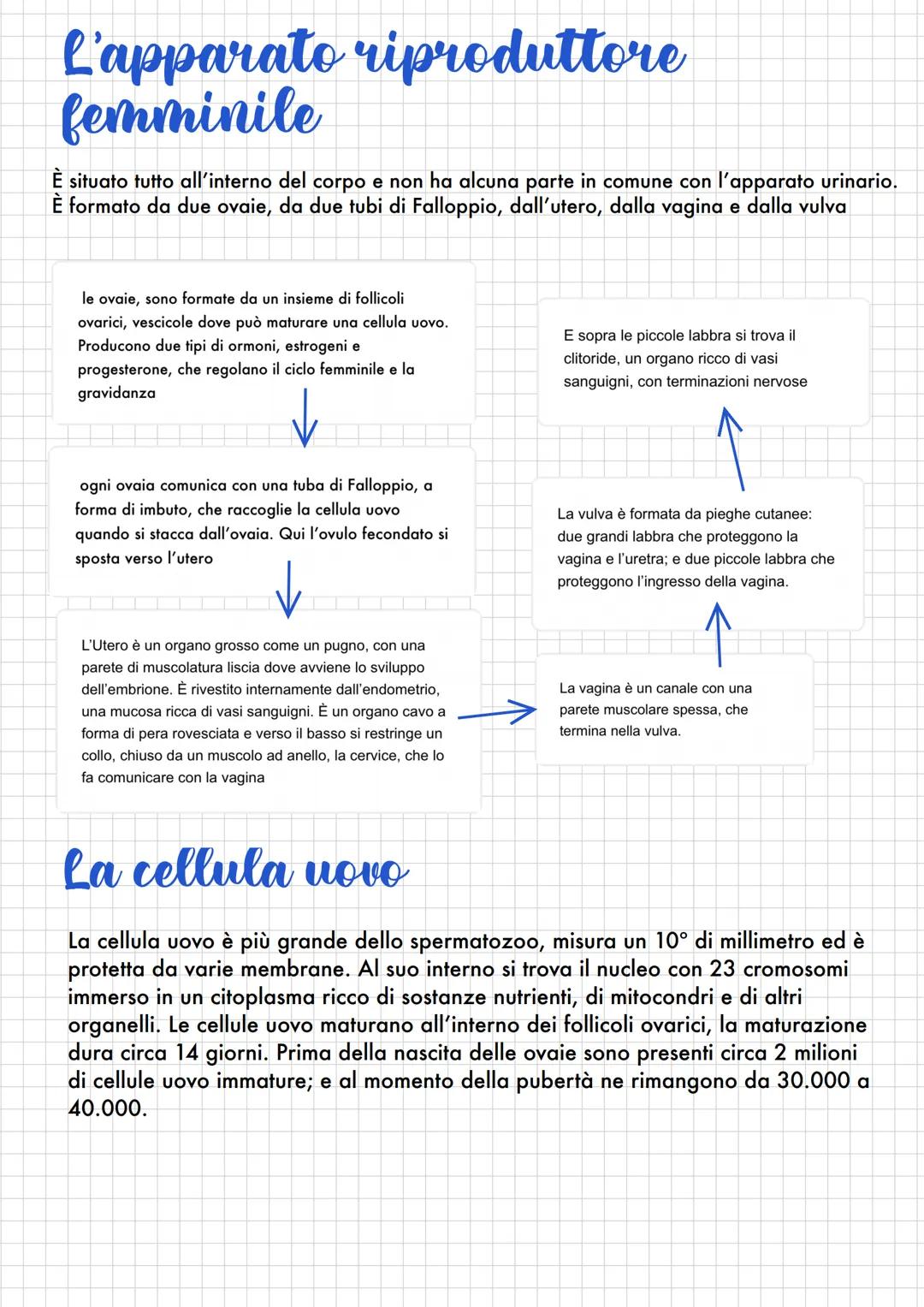 La riproduzione
Ogni essere vivente ha come fine la continuazione della vita attraverso figli.
E gli organismi viventi generano i propri dis