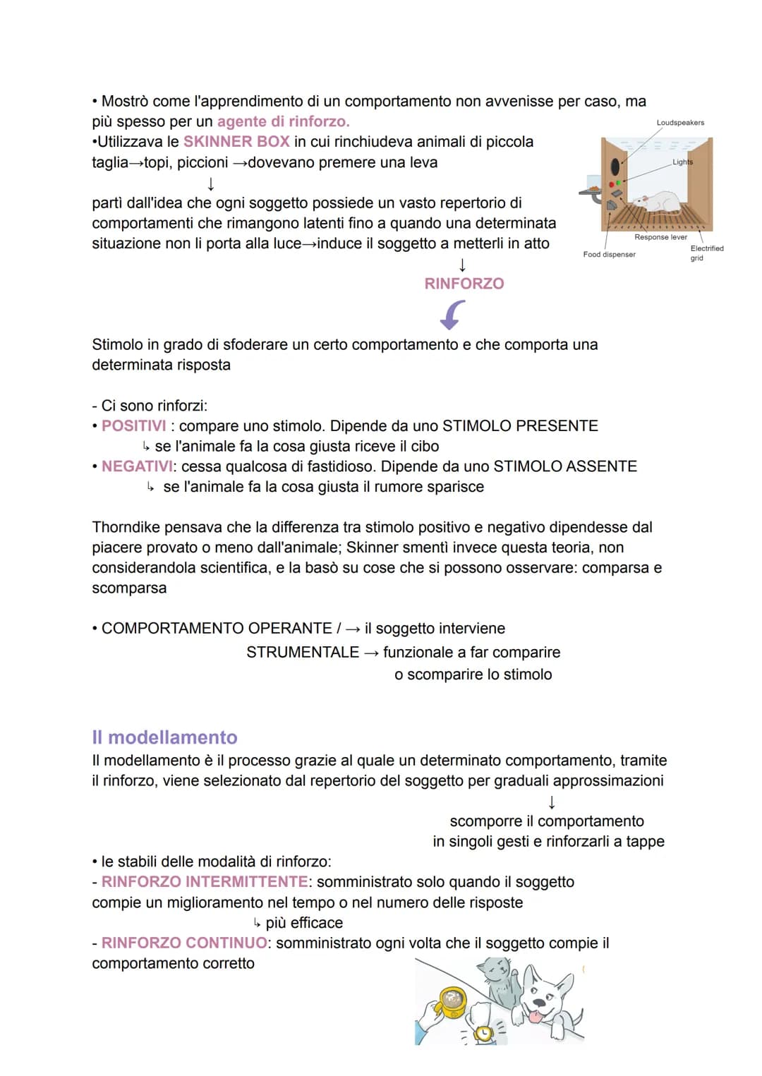 L'apprendimento
L'apprendimento venne studiato per la prima volta dai comportamentisti, in termini di
stimoli e risposte.
Si parla di appren