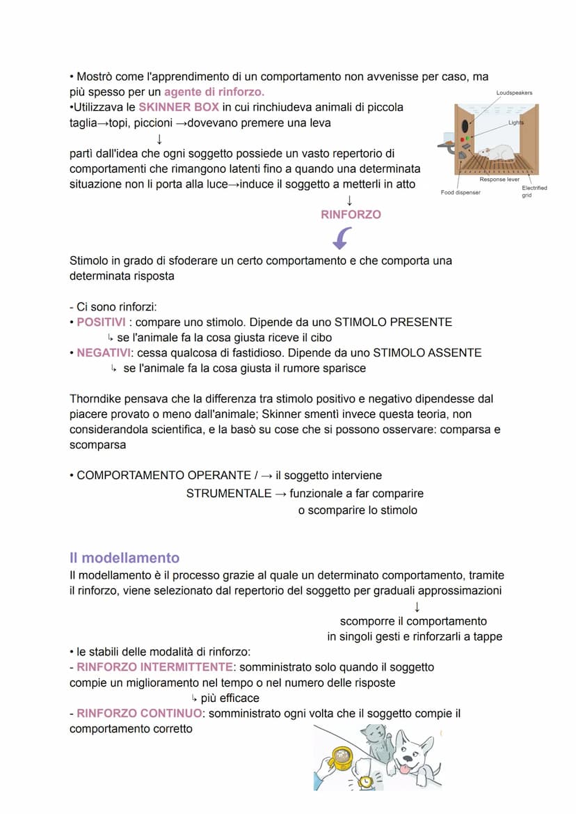 L'apprendimento
L'apprendimento venne studiato per la prima volta dai comportamentisti, in termini di
stimoli e risposte.
Si parla di appren