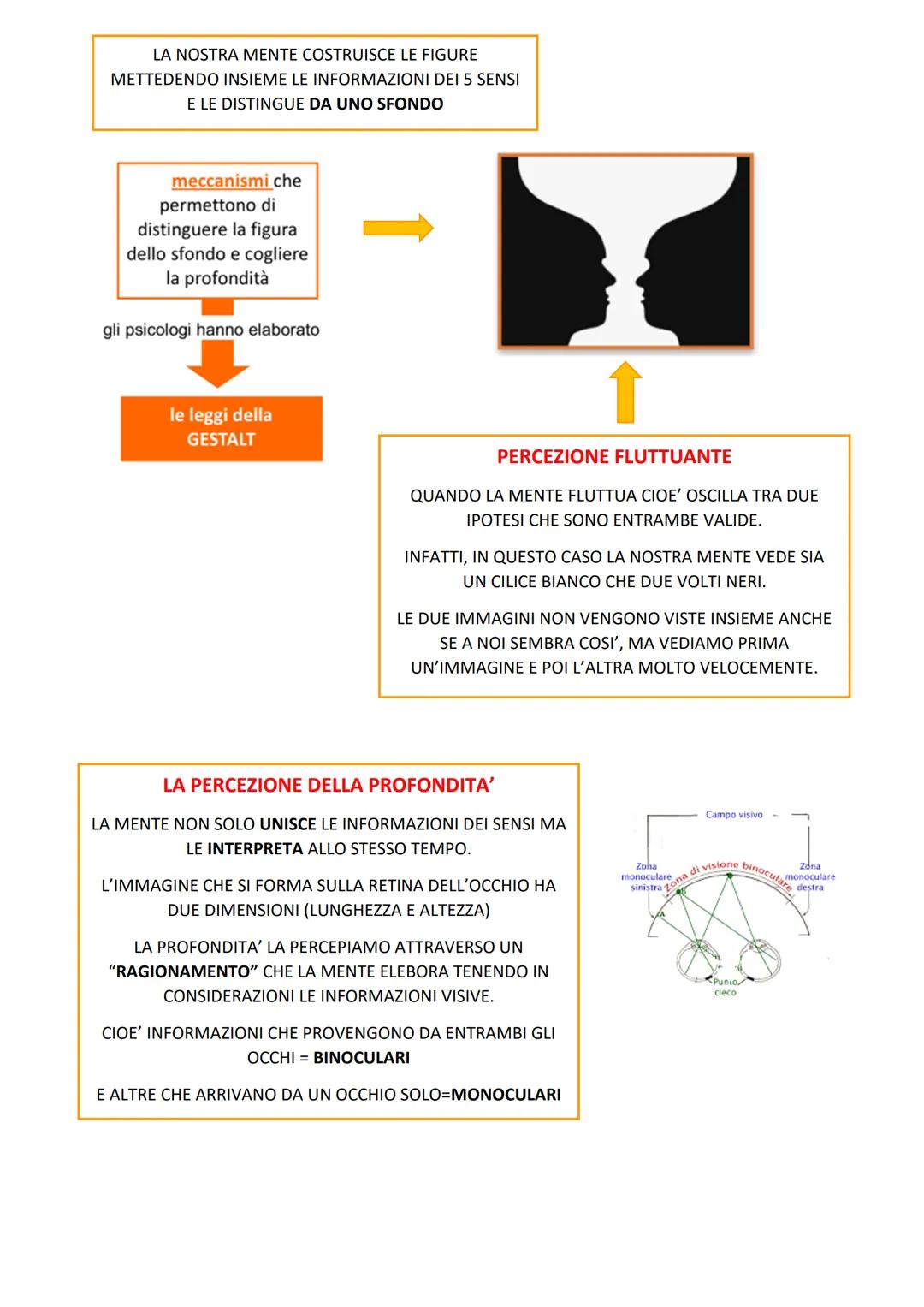 Attate Dialecata
www.aiutodislessia.net
MA IN REALTà
ULTRASUONI
LA PERCEZIONE
-CHE NOI
L'ESSERE UMANO
NON
SENTIAMO
VIVE IL MONDO
ATTRAVERSO
