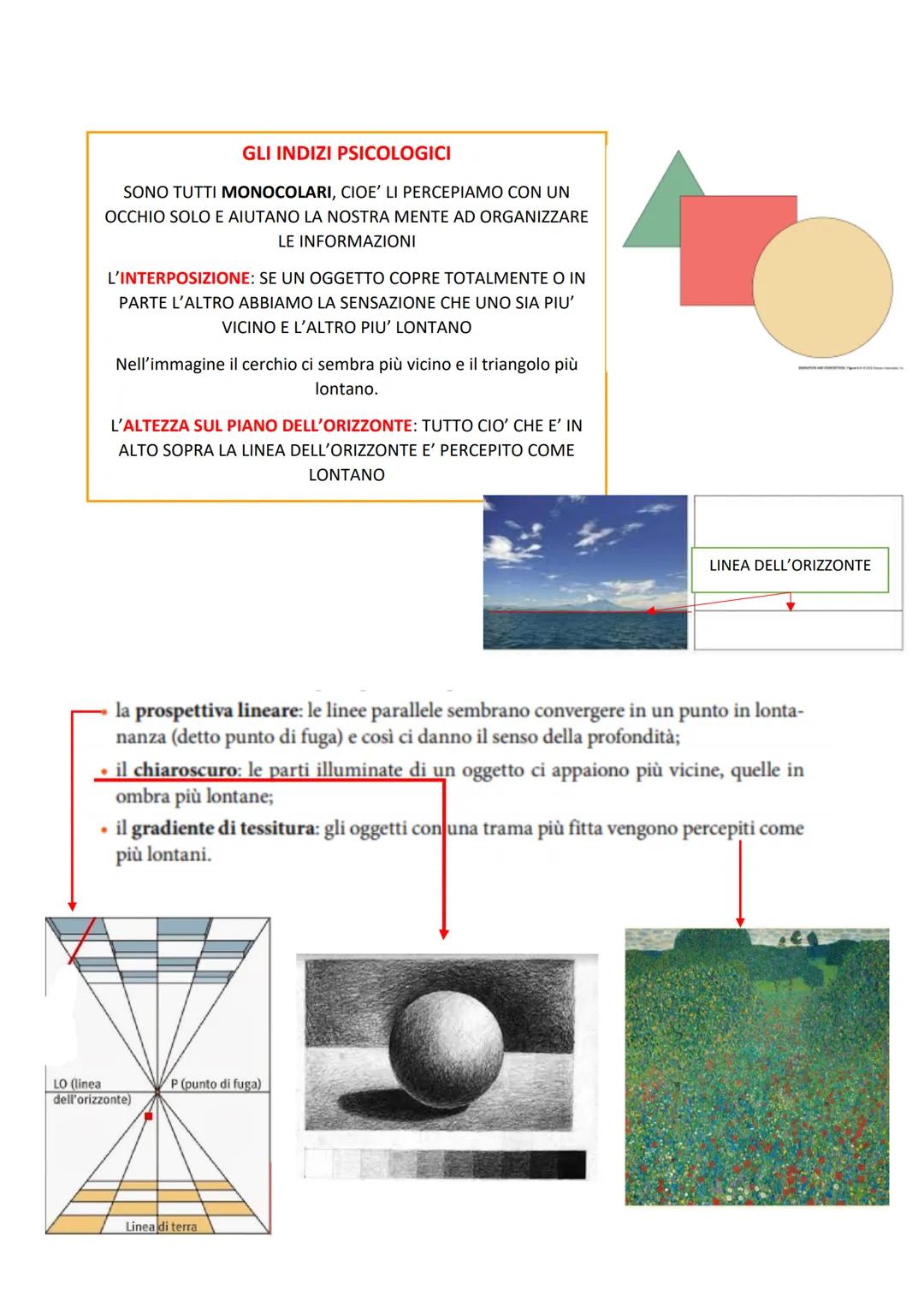 Attate Dialecata
www.aiutodislessia.net
MA IN REALTà
ULTRASUONI
LA PERCEZIONE
-CHE NOI
L'ESSERE UMANO
NON
SENTIAMO
VIVE IL MONDO
ATTRAVERSO
