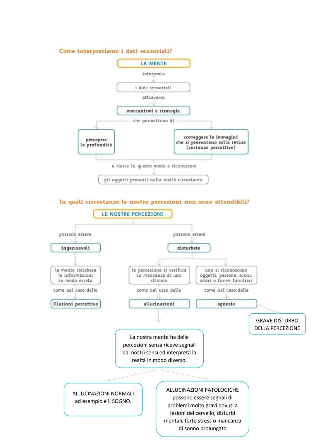 Attate Dialecata
www.aiutodislessia.net
MA IN REALTà
ULTRASUONI
LA PERCEZIONE
-CHE NOI
L'ESSERE UMANO
NON
SENTIAMO
VIVE IL MONDO
ATTRAVERSO
