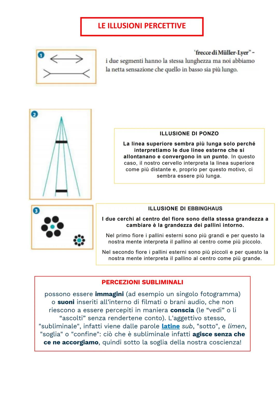 Attate Dialecata
www.aiutodislessia.net
MA IN REALTà
ULTRASUONI
LA PERCEZIONE
-CHE NOI
L'ESSERE UMANO
NON
SENTIAMO
VIVE IL MONDO
ATTRAVERSO
