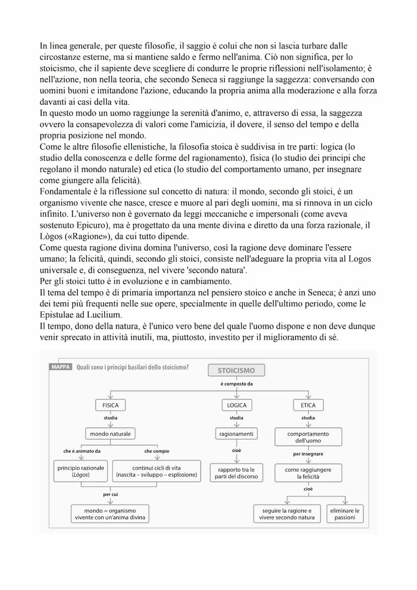 Lucio Anneo Seneca
• Vita
Nasce a Cordova in Spagna nel 4 a.C.
Apparteneva ad una ricca famiglia di rango equestre. Suo padre fu il famoso r