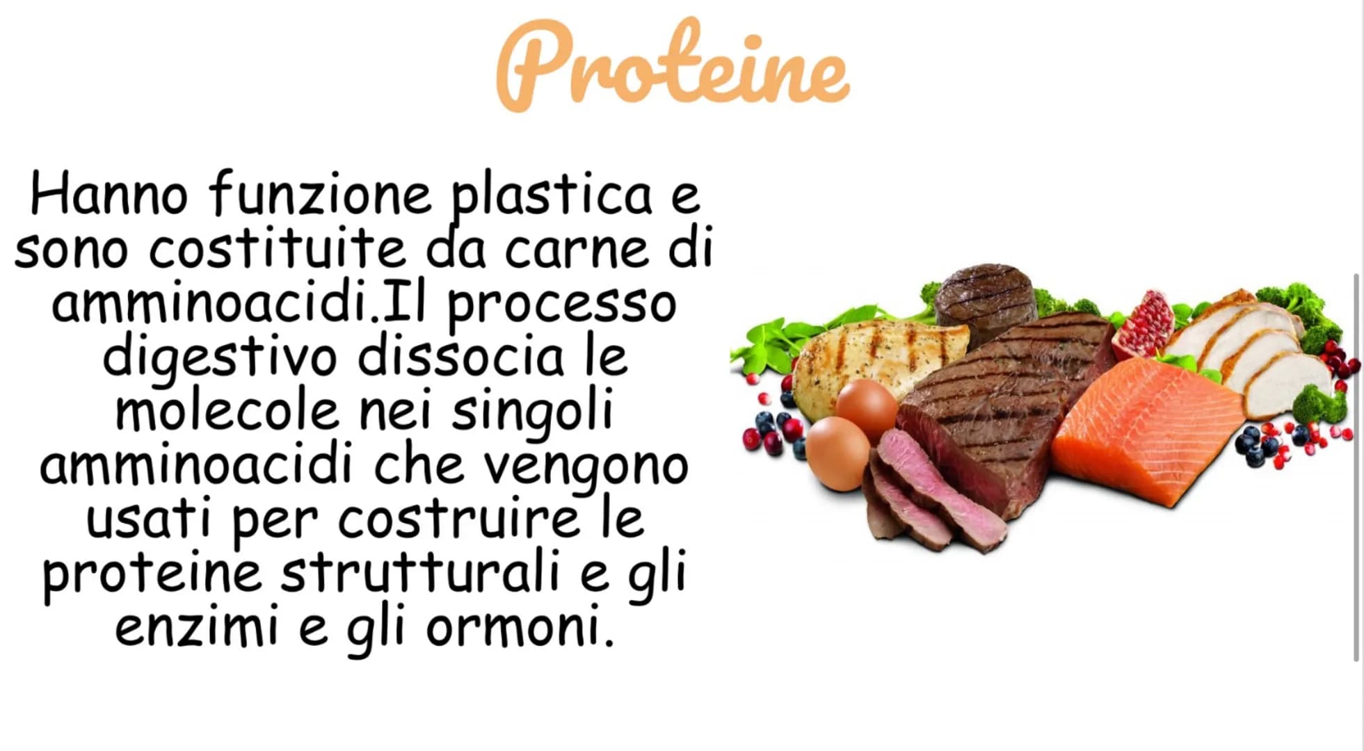 Carboidrati
Hanno funzione energetica
I più importanti sono:
Amido:contenuto negli alimenti a base
di cereali
Saccarosio: zucchero da tavola