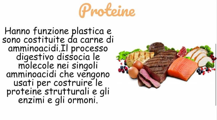Carboidrati
Hanno funzione energetica
I più importanti sono:
Amido:contenuto negli alimenti a base
di cereali
Saccarosio: zucchero da tavola