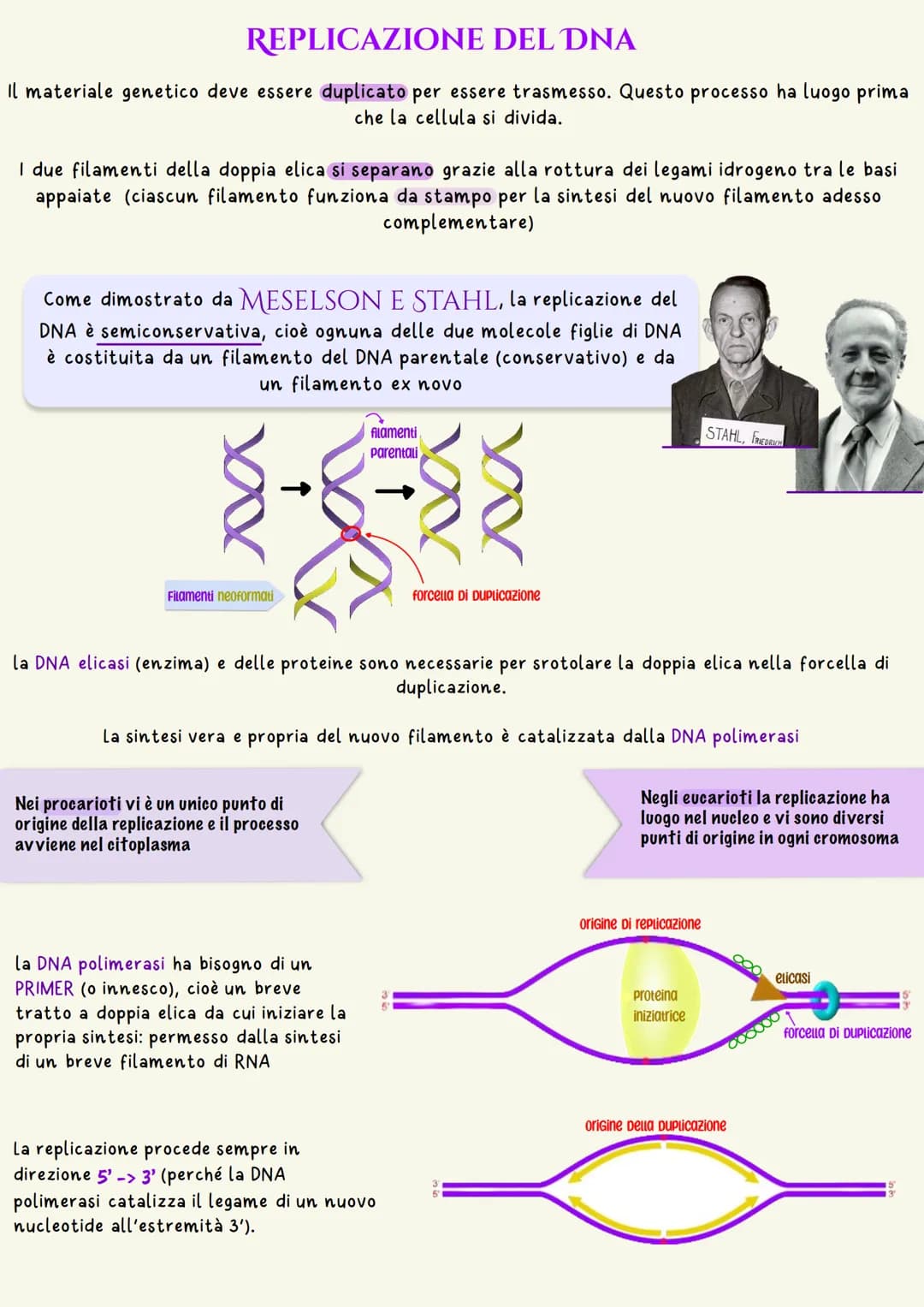 L'unità base dell'eredità è rappresentata dal gene che è il tratto di DNA
responsabile della determinazione di un dato carattere
un nucleoti