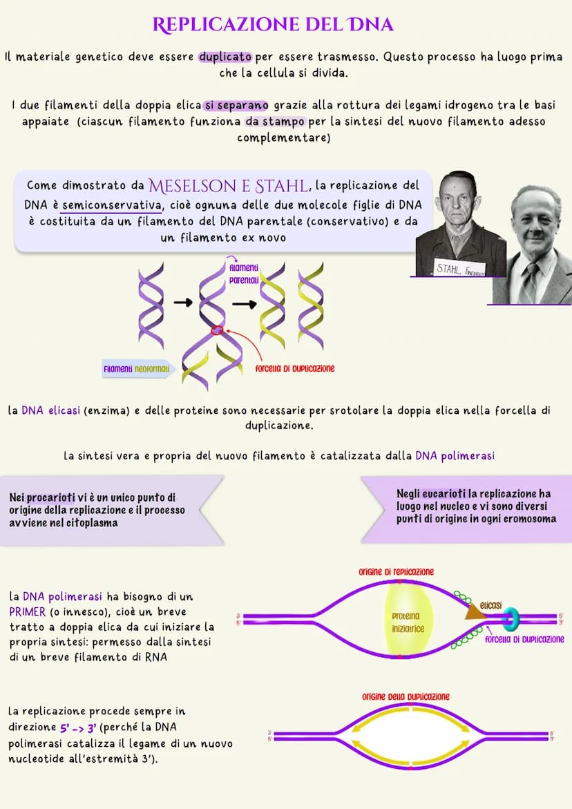 L'unità base dell'eredità è rappresentata dal gene che è il tratto di DNA
responsabile della determinazione di un dato carattere
un nucleoti