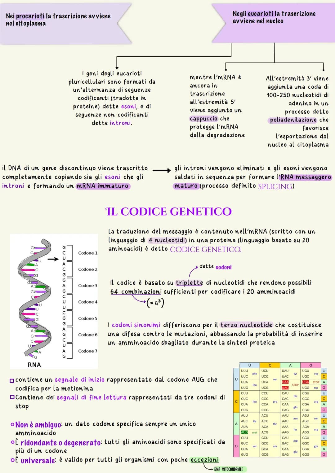 L'unità base dell'eredità è rappresentata dal gene che è il tratto di DNA
responsabile della determinazione di un dato carattere
un nucleoti