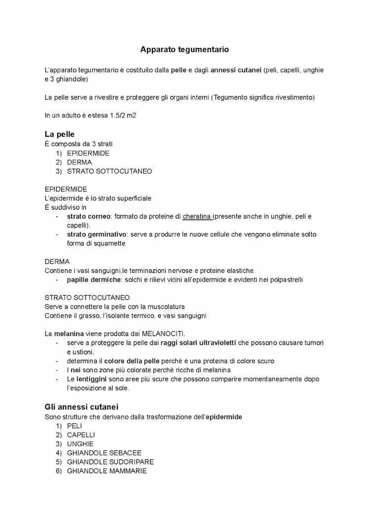 Know l'apparato tegumentario thumbnail
