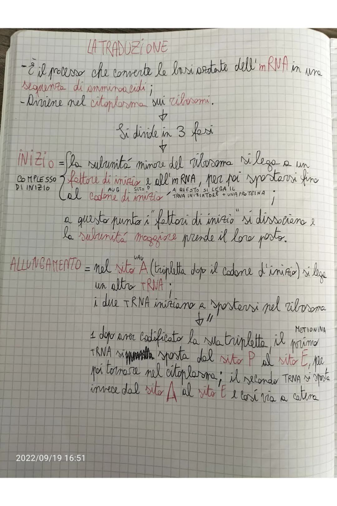TERMINAZIONE = quando l'RNA plimerasi incontra delle sequente
di lasi dette sequenze d'arresto si stacca e
il nuoro filaments di RNA viene r
