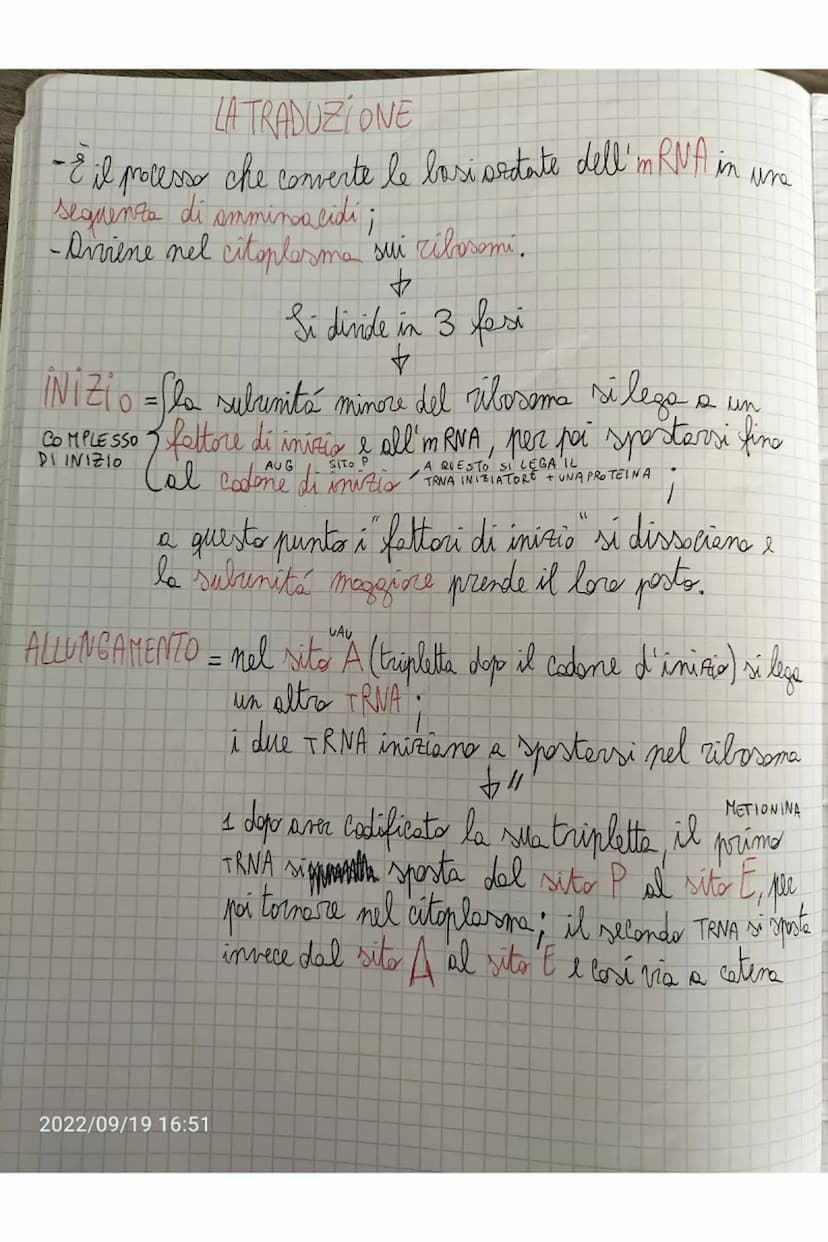 TERMINAZIONE = quando l'RNA plimerasi incontra delle sequente
di lasi dette sequenze d'arresto si stacca e
il nuoro filaments di RNA viene r
