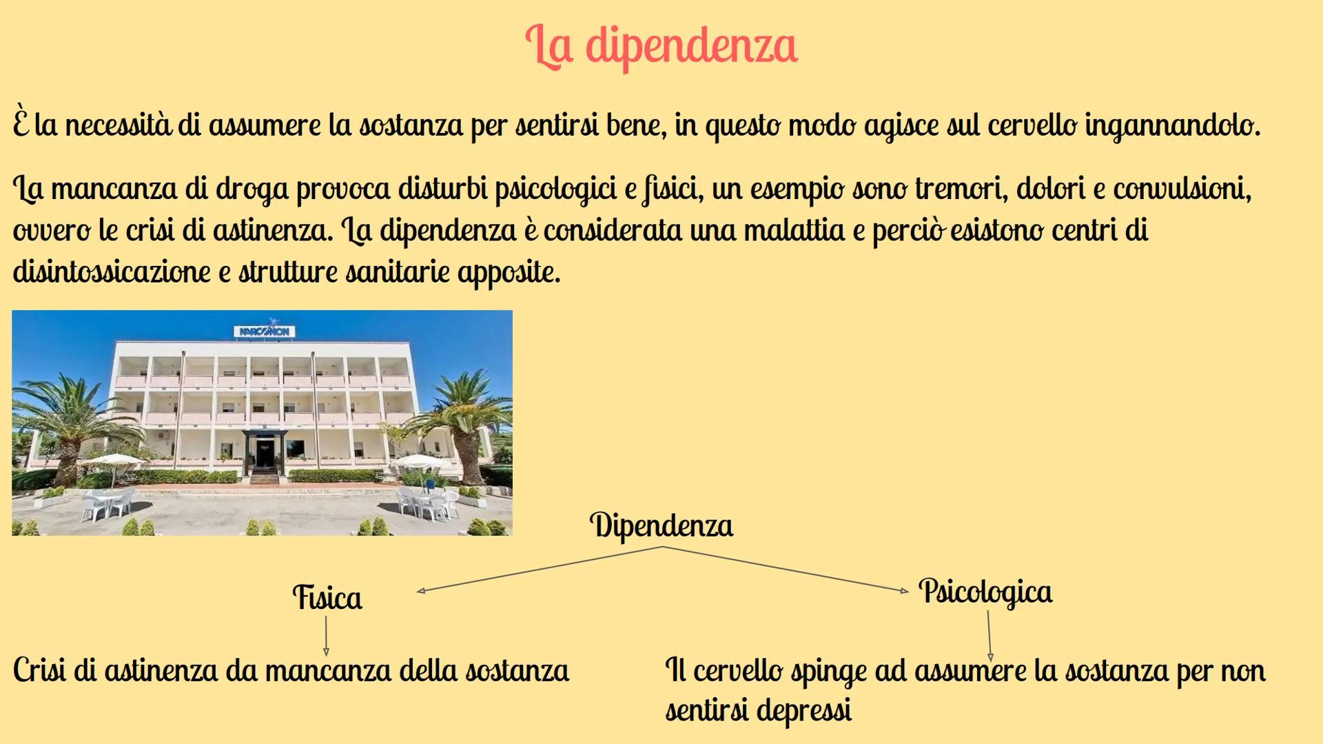 Gli effetti delle droghe sul
sistema nervere
Argomenti trattati:
Cosa sono
La dipendenza
dream le endorfine
Le
★
★
★
★
★
★
★
★
Come agiscono