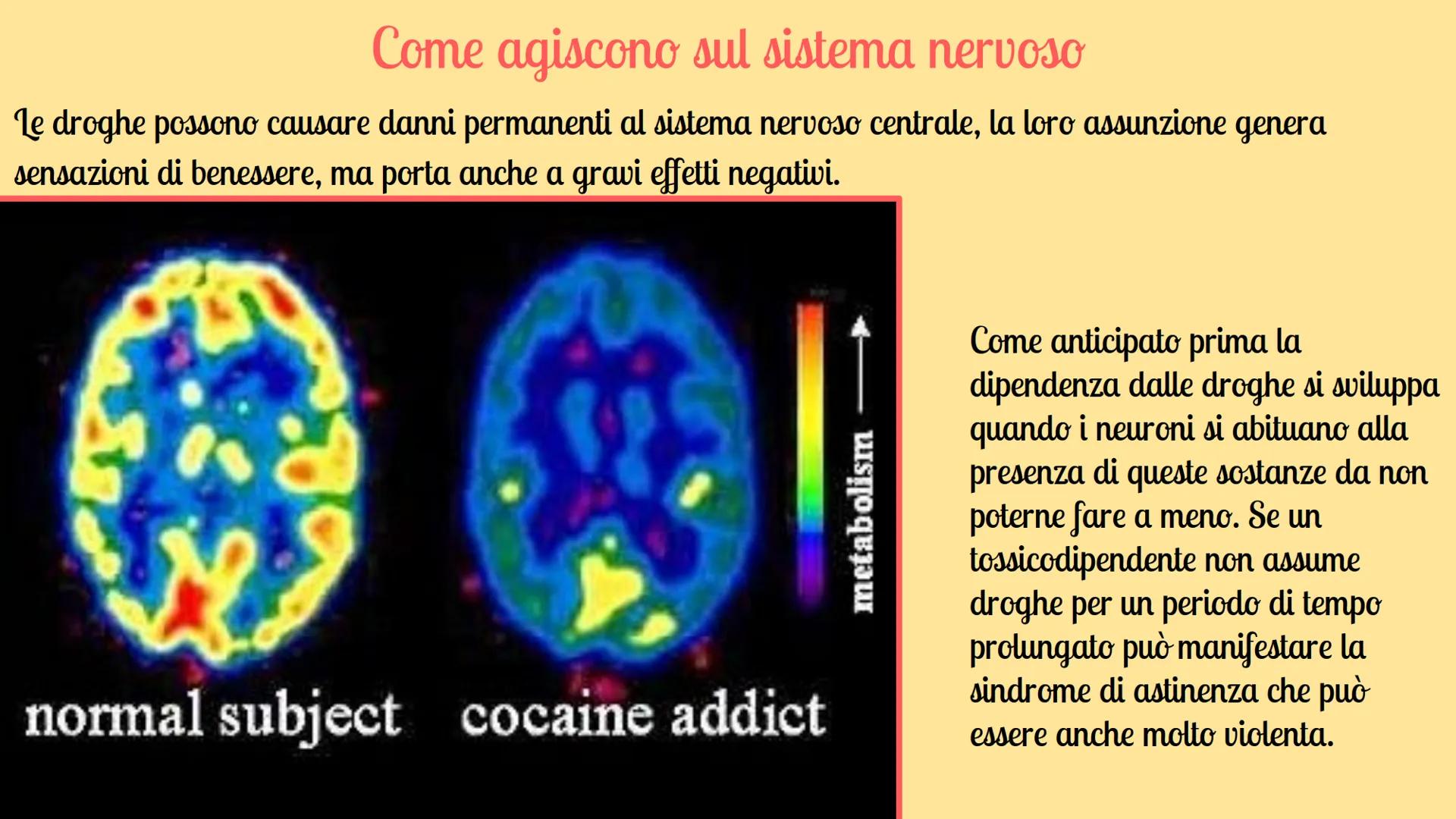Gli effetti delle droghe sul
sistema nervere
Argomenti trattati:
Cosa sono
La dipendenza
dream le endorfine
Le
★
★
★
★
★
★
★
★
Come agiscono